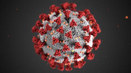 Microscopic image of corona virus