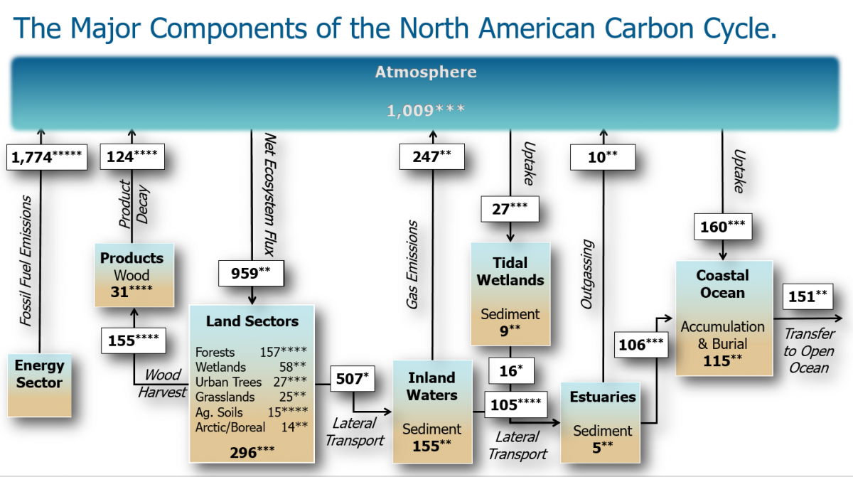 Major composnents of the North American Carbon Cycle