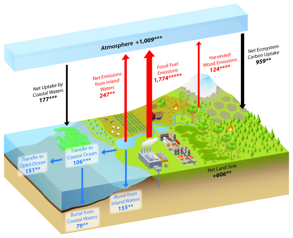 Net fluxes and transfers of carbon among the atmosphere, land, and water are depicted in this simplified representation of the North American carbon cycle. The diagram includes fluxes of carbon dioxide but not methane or other carbon-containing greenhouse gases.